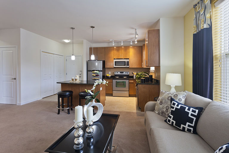 Interior living space & open kitchen at Dwell Cherry Hill luxury apartments